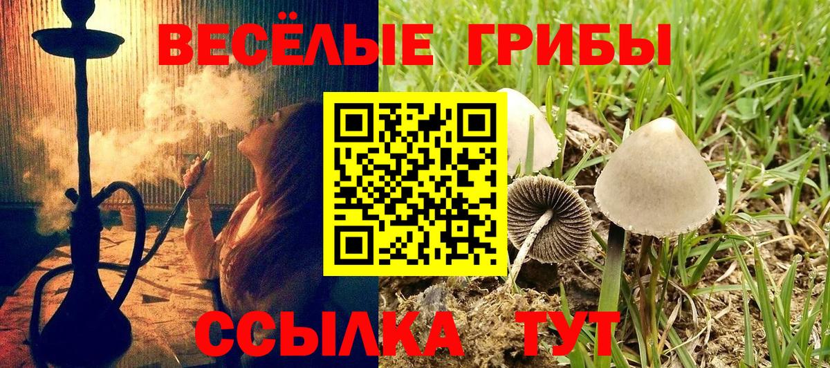 Галлюциногенные грибы прущие грибы Чебоксары